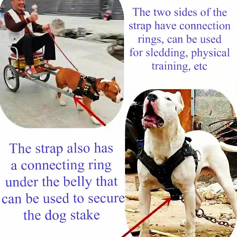 Dog Harness For Large Dog,Pit Bull Dog Harness Large Dog Collar Wholesale Leash Dog Vest Collar Fashion Pet Products Accessories TechVisio