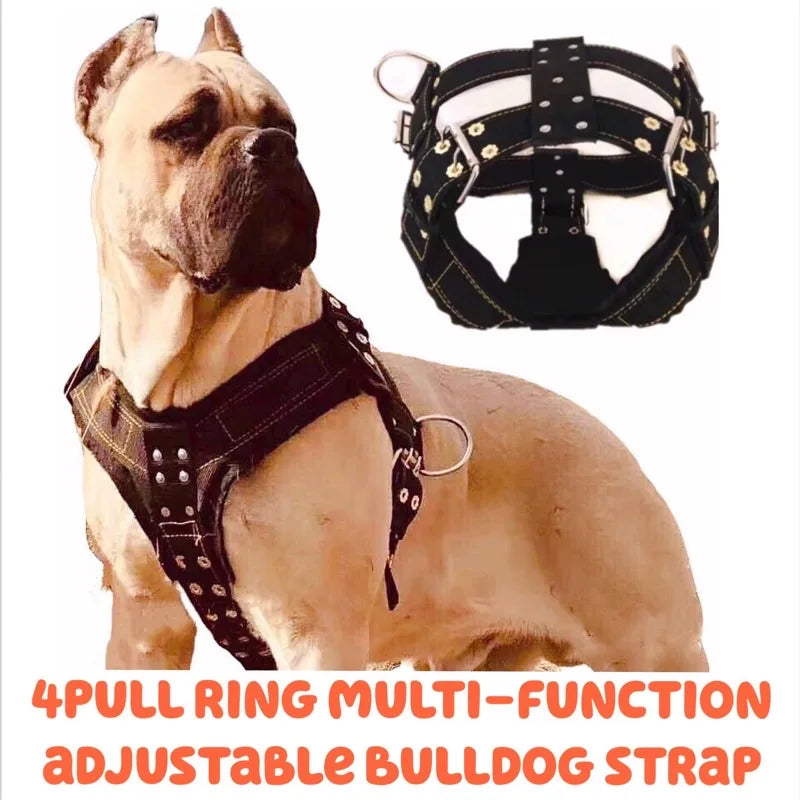 Dog Harness For Large Dog,Pit Bull Dog Harness Large Dog Collar Wholesale Leash Dog Vest Collar Fashion Pet Products Accessories TechVisio