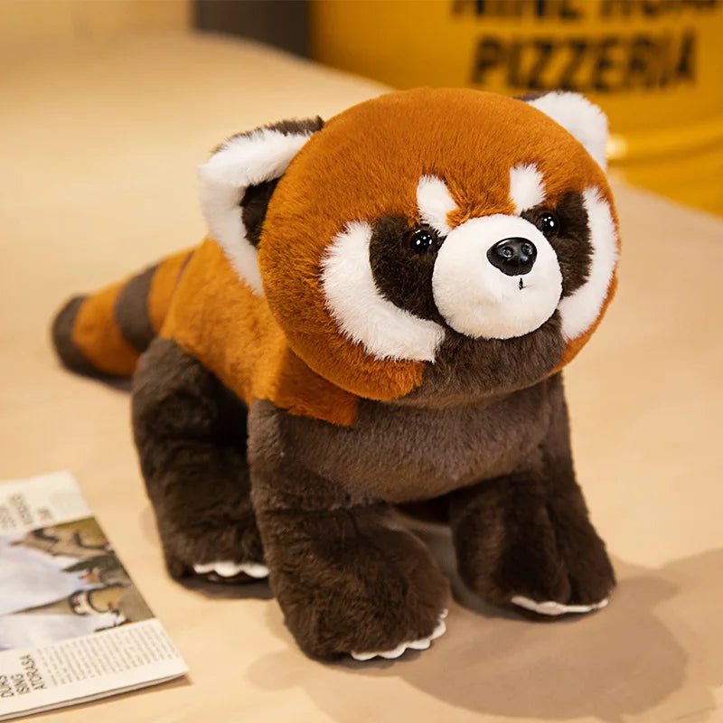 Peluche Panda Roux Réaliste – 3 Poses, 40 à 80cm