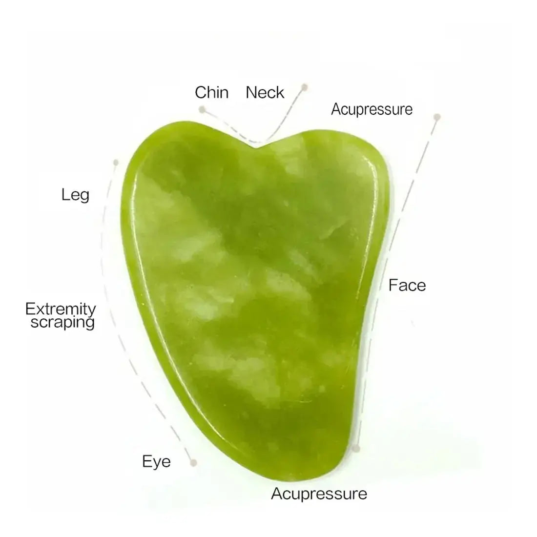 Rouleau de Jade & Gua Sha Pierre Naturelle AYHle