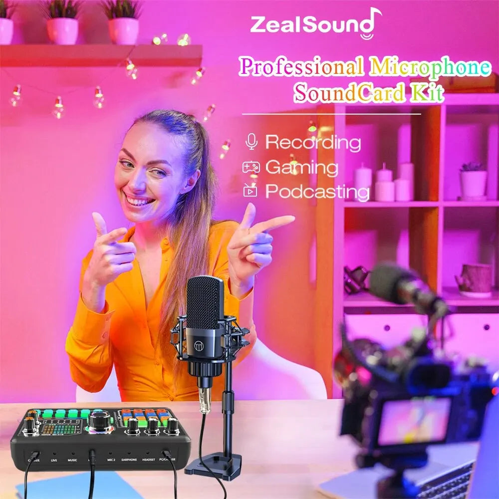 ZealSound P300 Podcast-Kit – DJ-Soundkarte | XLR-Mikrofon | 4 Live-Modi