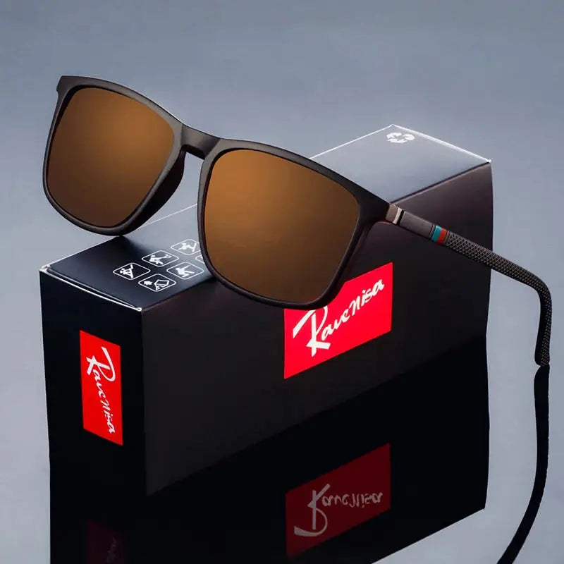 Lunettes Polarisées Ravenisa