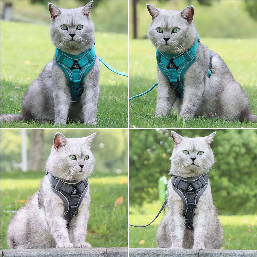 Harness and Leash Set Pet Accessories Dog Harness For Small Dog French Bulldog Pug Pitbull Puppy Pectoral Collar Chiens Supplies TechVisio