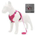 Harness and Leash Set Pet Accessories Dog Harness For Small Dog French Bulldog Pug Pitbull Puppy Pectoral Collar Chiens Supplies TechVisio