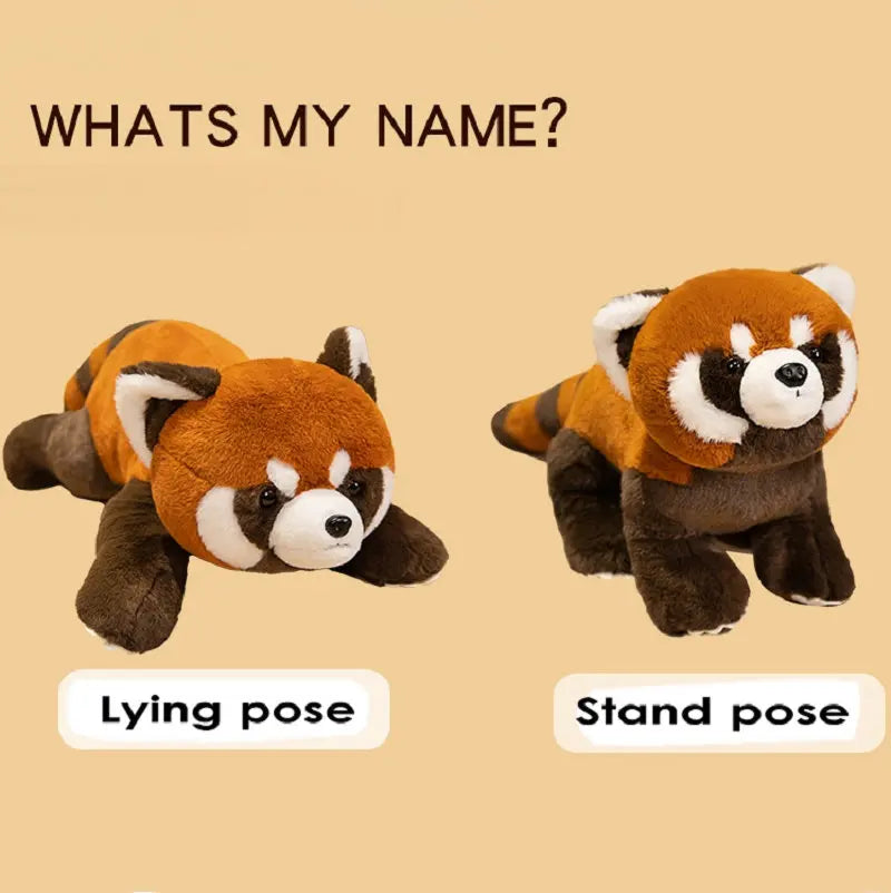 Peluche Panda Roux Réaliste – 3 Poses, 40 à 80cm