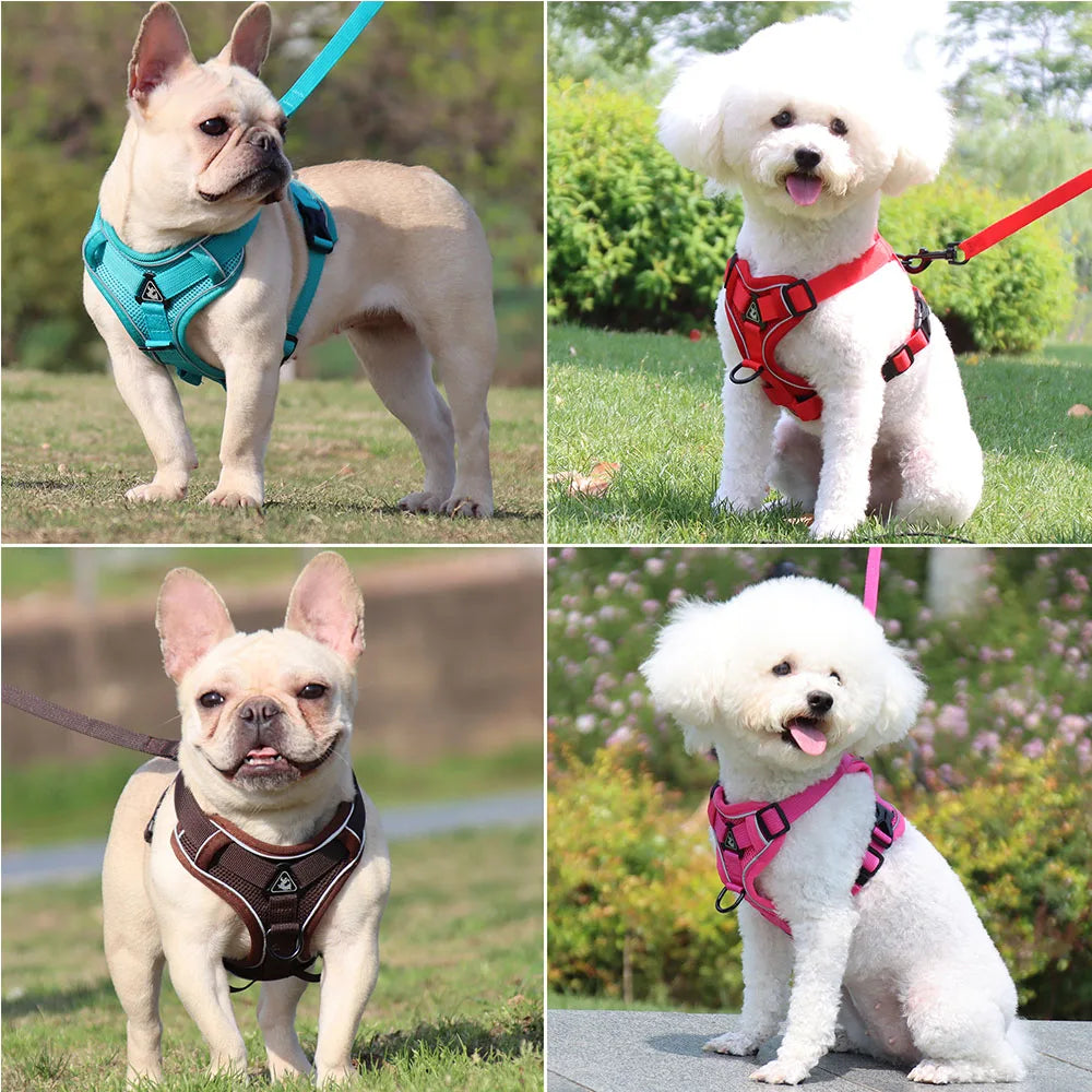 Harness and Leash Set Pet Accessories Dog Harness For Small Dog French Bulldog Pug Pitbull Puppy Pectoral Collar Chiens Supplies TechVisio
