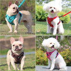 Harness and Leash Set Pet Accessories Dog Harness For Small Dog French Bulldog Pug Pitbull Puppy Pectoral Collar Chiens Supplies TechVisio