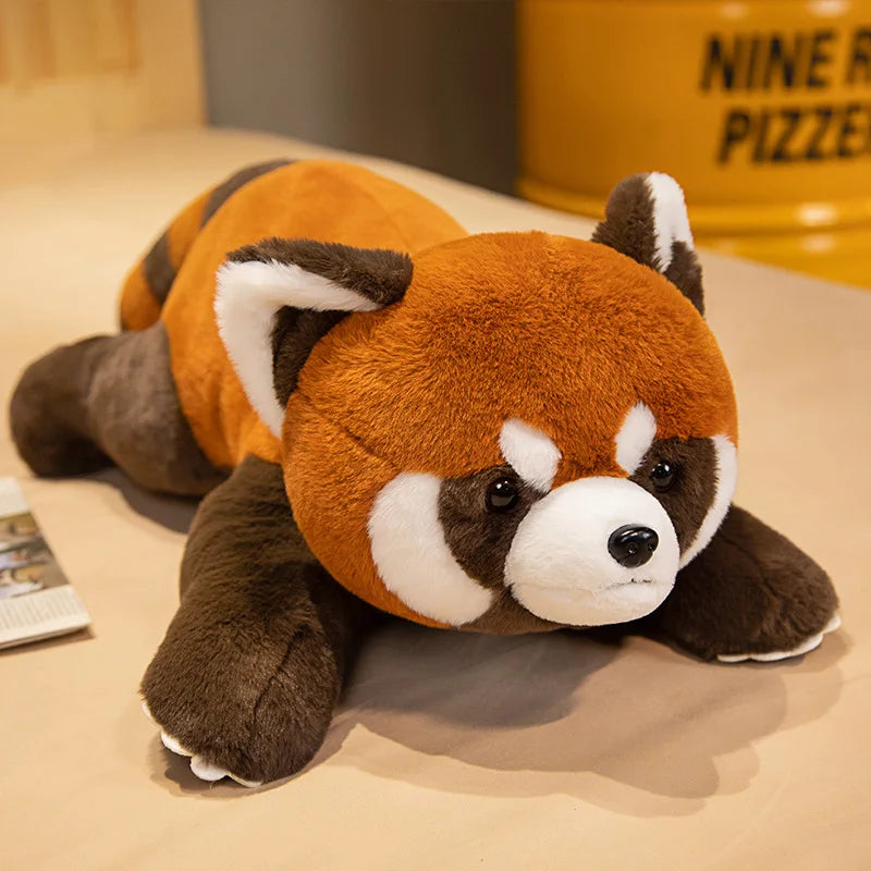 Peluche Panda Roux Réaliste – 3 Poses, 40 à 80cm