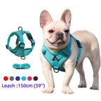 Harness and Leash Set Pet Accessories Dog Harness For Small Dog French Bulldog Pug Pitbull Puppy Pectoral Collar Chiens Supplies TechVisio