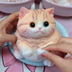 Squishy Chat Kawaii Silicone Anti-Stress – 4 Designs & 2 Tailles TechVisio