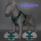 Harness and Leash Set Pet Accessories Dog Harness For Small Dog French Bulldog Pug Pitbull Puppy Pectoral Collar Chiens Supplies TechVisio