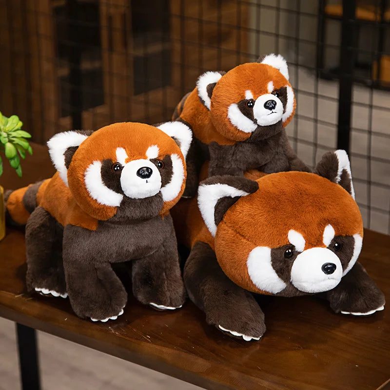 Peluche Panda Roux Réaliste – 3 Poses, 40 à 80cm