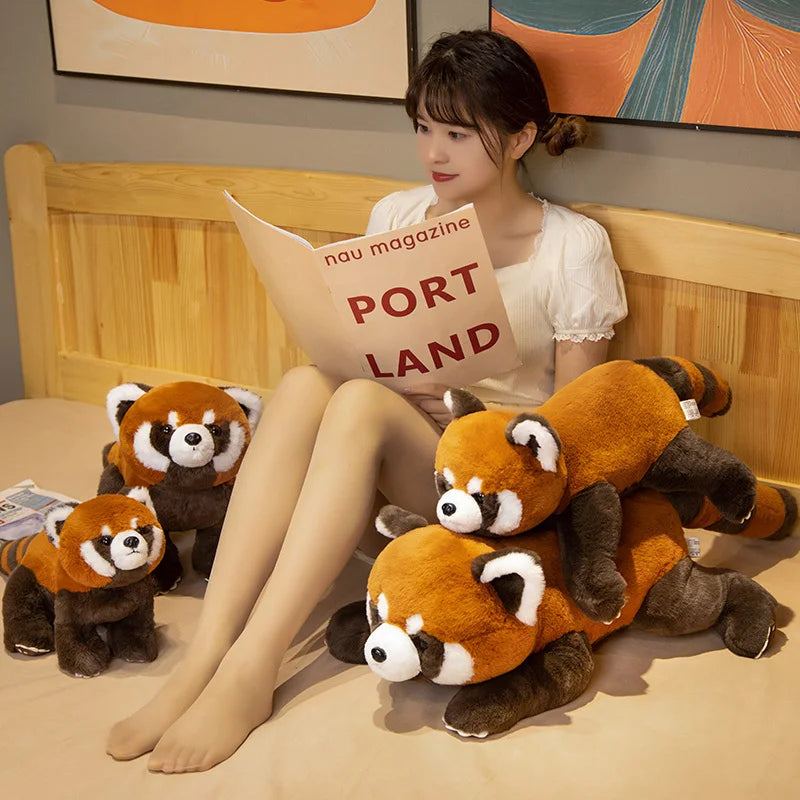 Peluche Panda Roux Réaliste – 3 Poses, 40 à 80cm