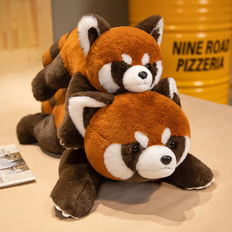 Peluche Panda Roux Réaliste – 3 Poses, 40 à 80cm