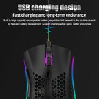 BM600 – Souris Gaming Sans Fil Honeycomb RGB 2.4GHz TechVisio