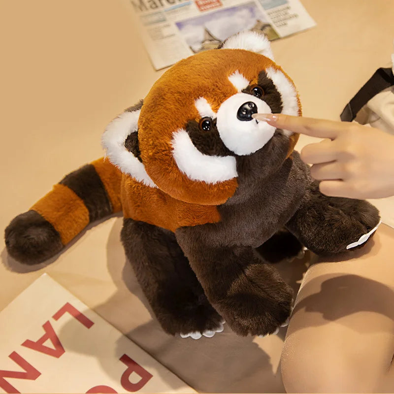 Peluche Panda Roux Réaliste – 3 Poses, 40 à 80cm