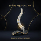 Spine Infographic